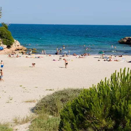 Roques Daurades Iii - Jardin Privado *