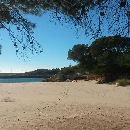 Roques Daurades Iii - Jardin Privado *
