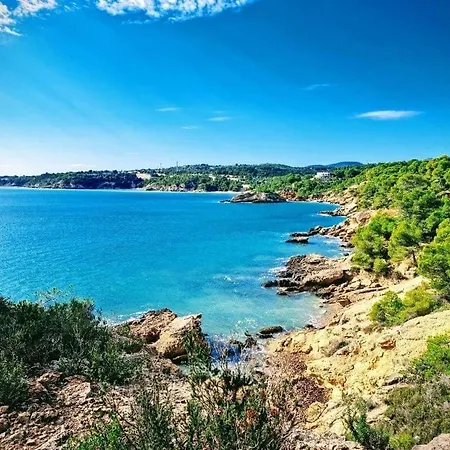 Roques Daurades Iii - Jardin Privado